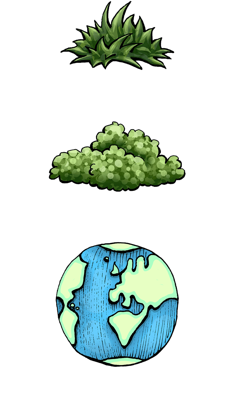 Stock illustraties bosjes aarde