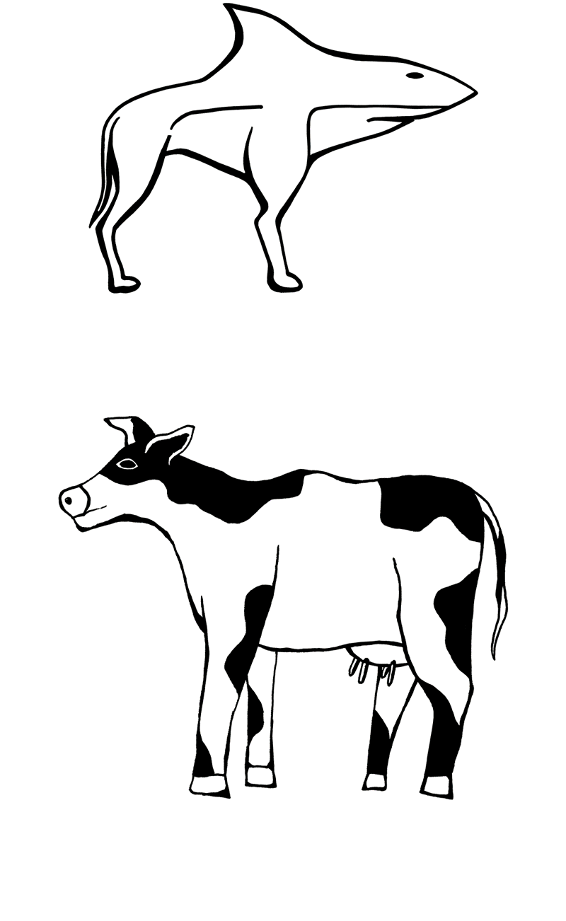 Stock illustraties haaihond koe